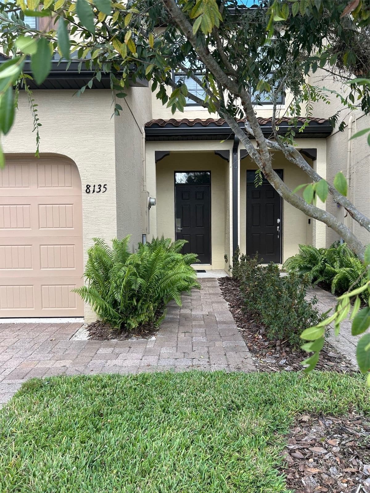 8135 ROSEVILLE