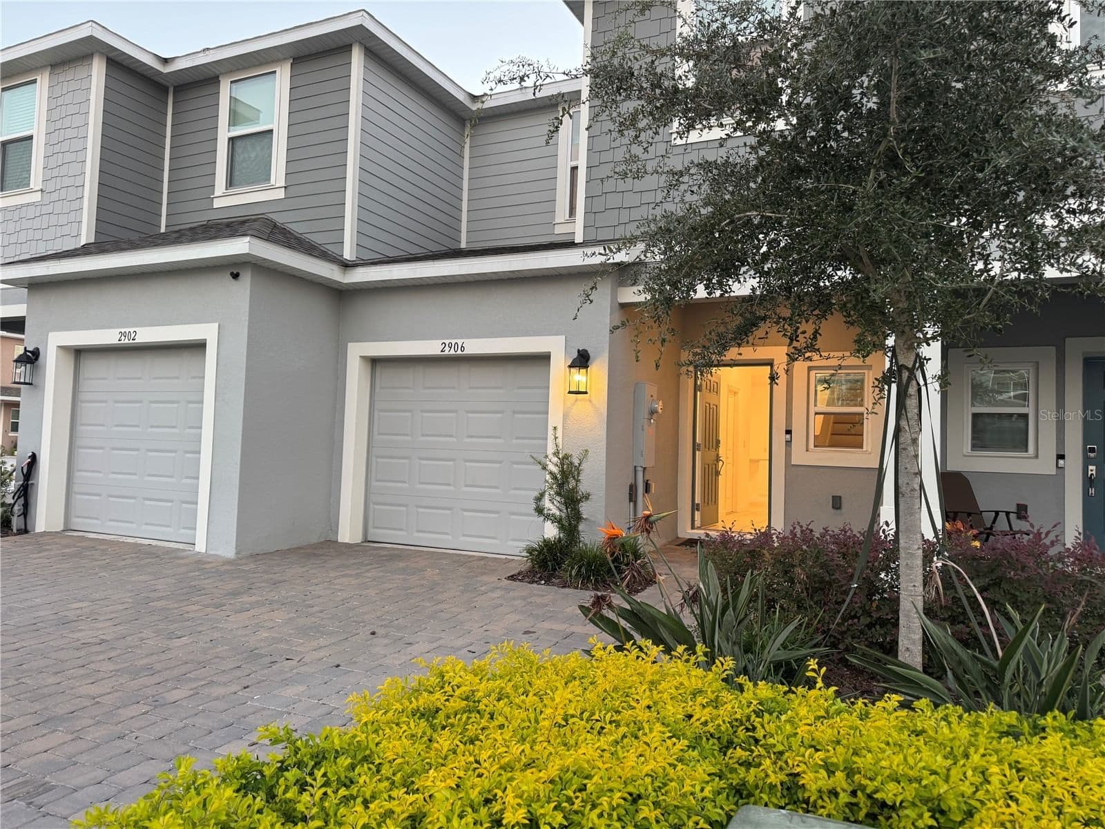 2906 CANARY