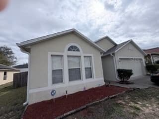 114 VERVAIN
