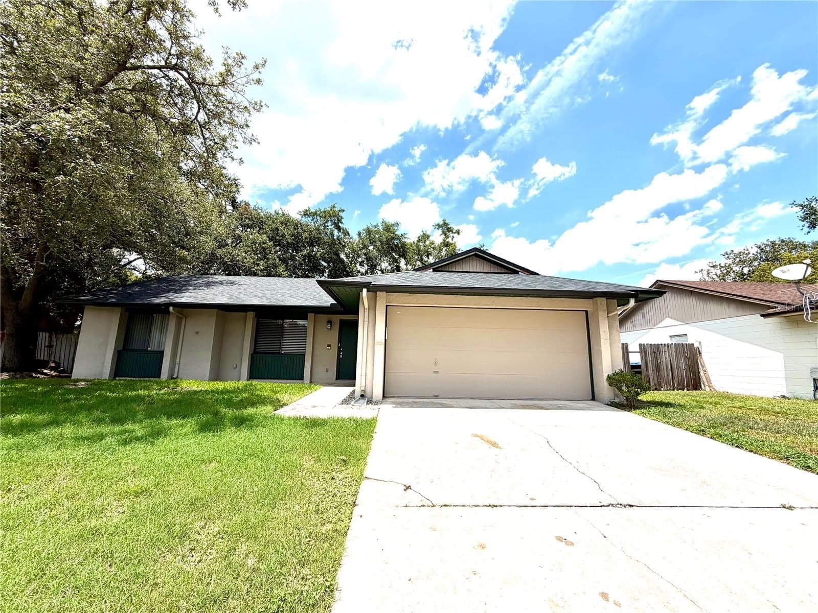 3349 SASSAFRAS