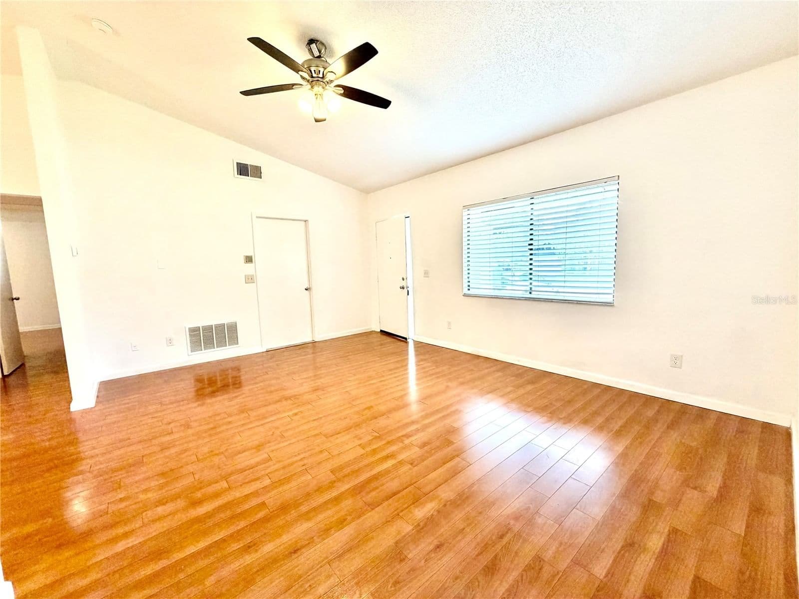 3349 SASSAFRAS
