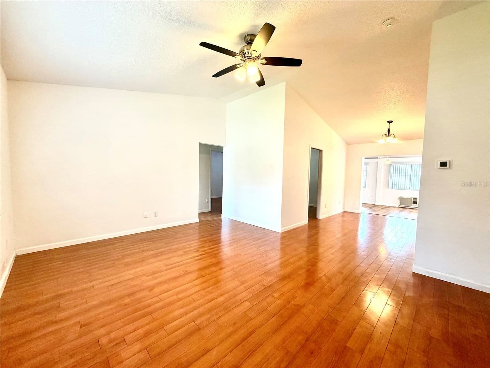 3349 SASSAFRAS