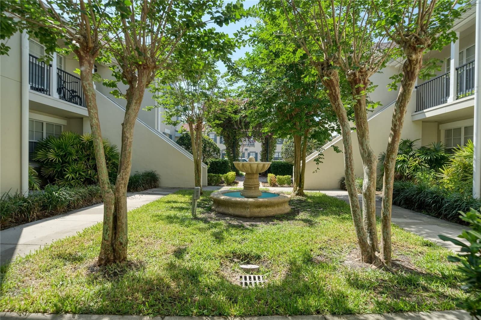 714 SIENA PALM