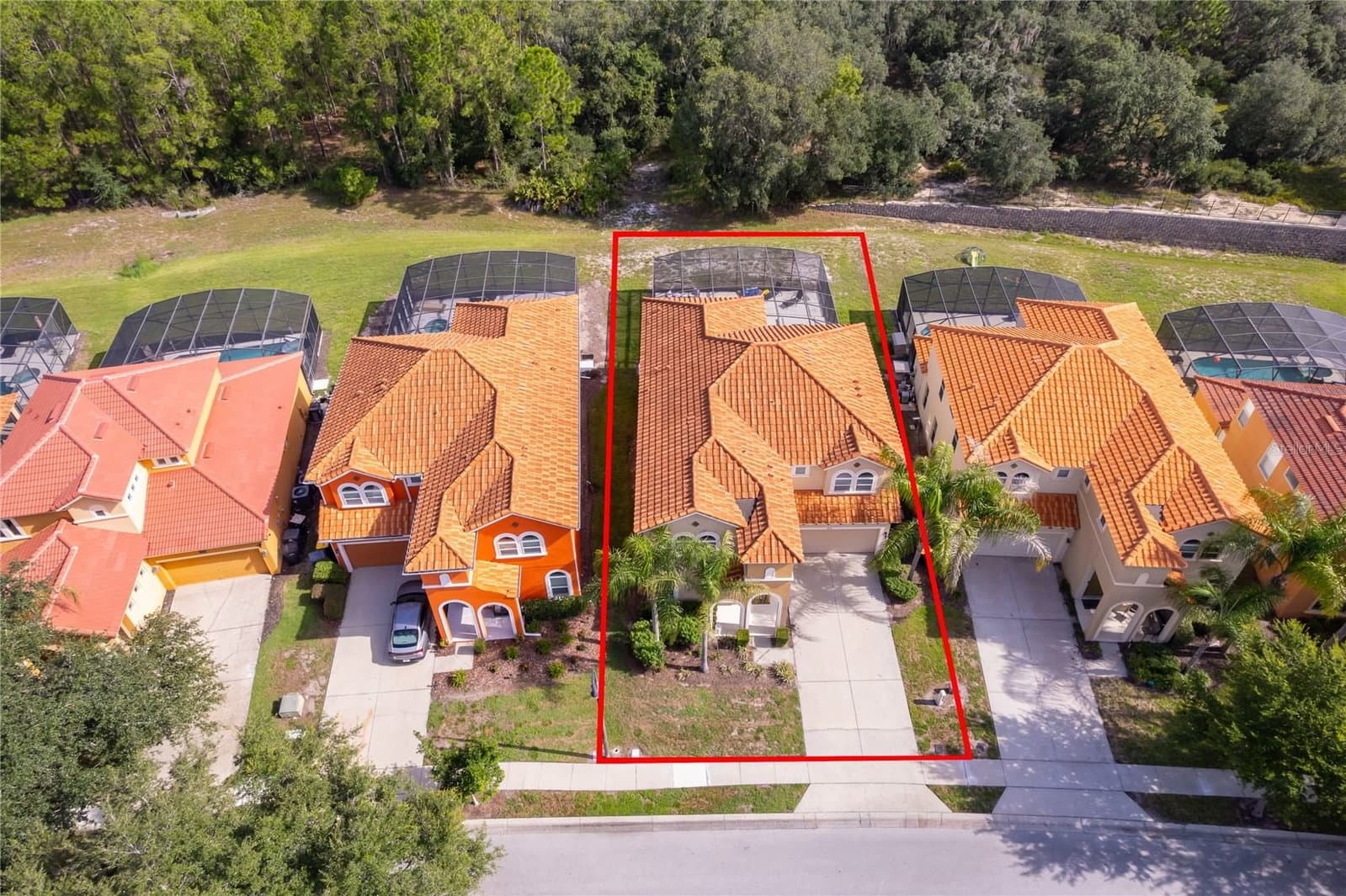 406 ORANGE COSMOS