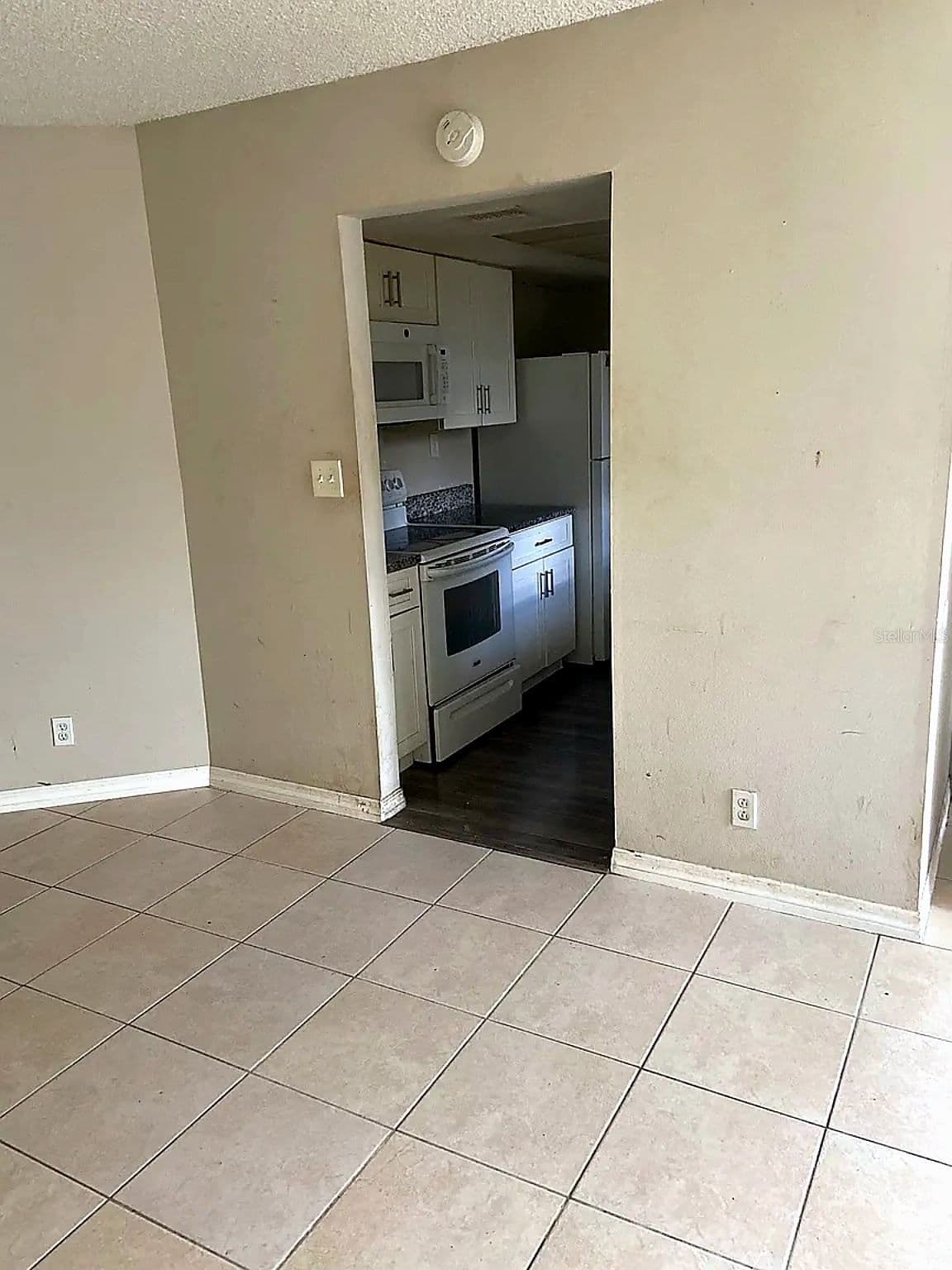 2632 LEMON TREE