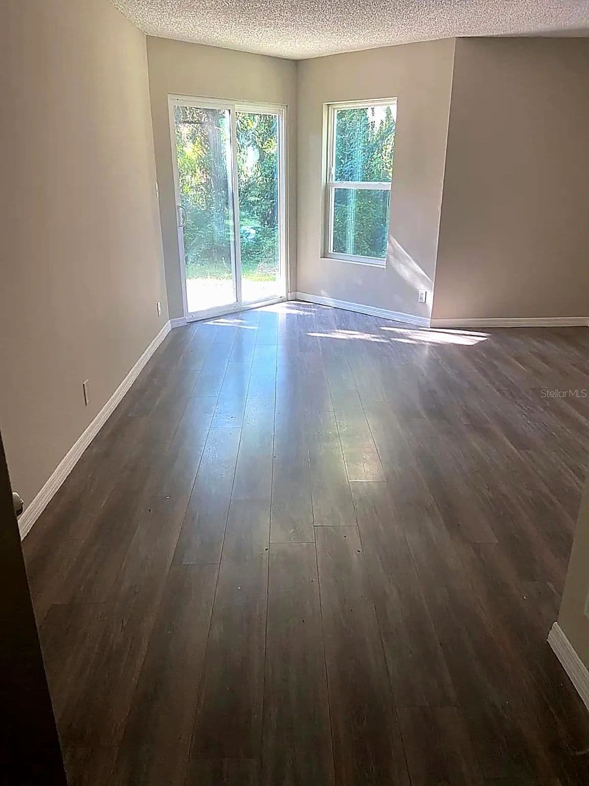 2632 LEMON TREE