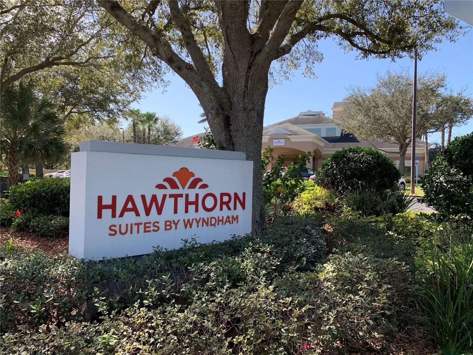 8303 PALM Parkway #520