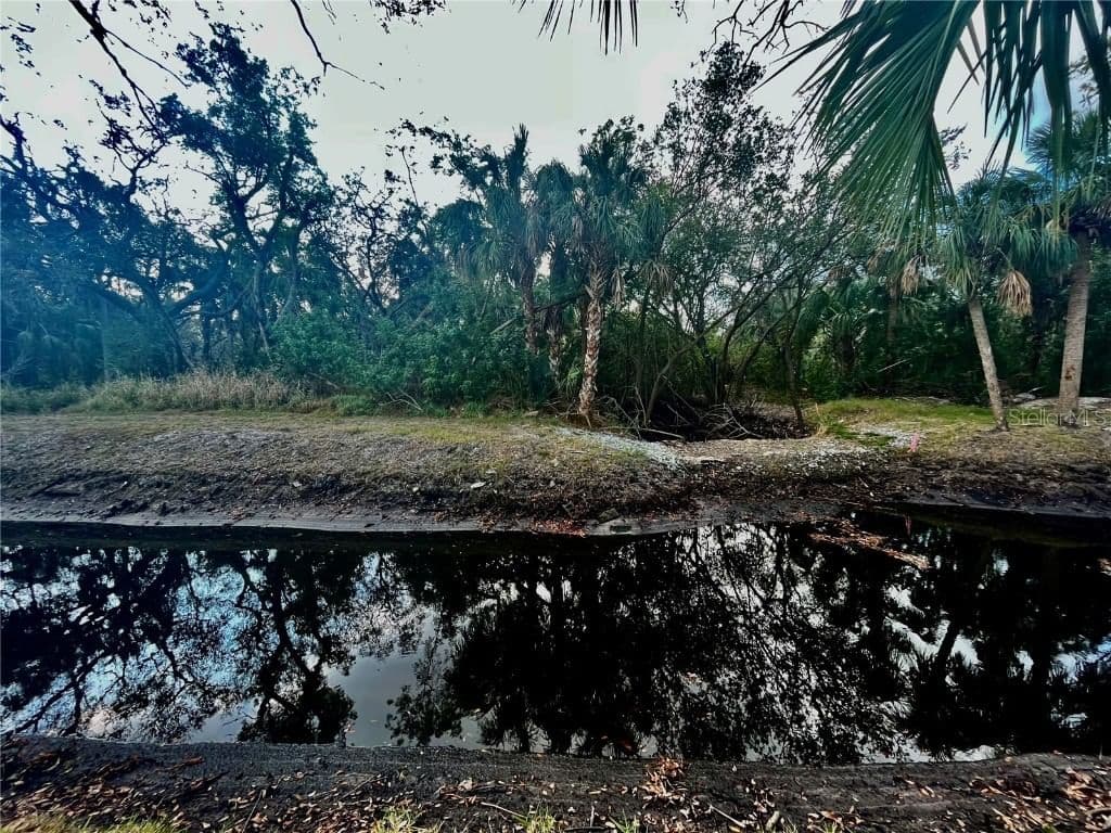 Photo 4 of S TARPON