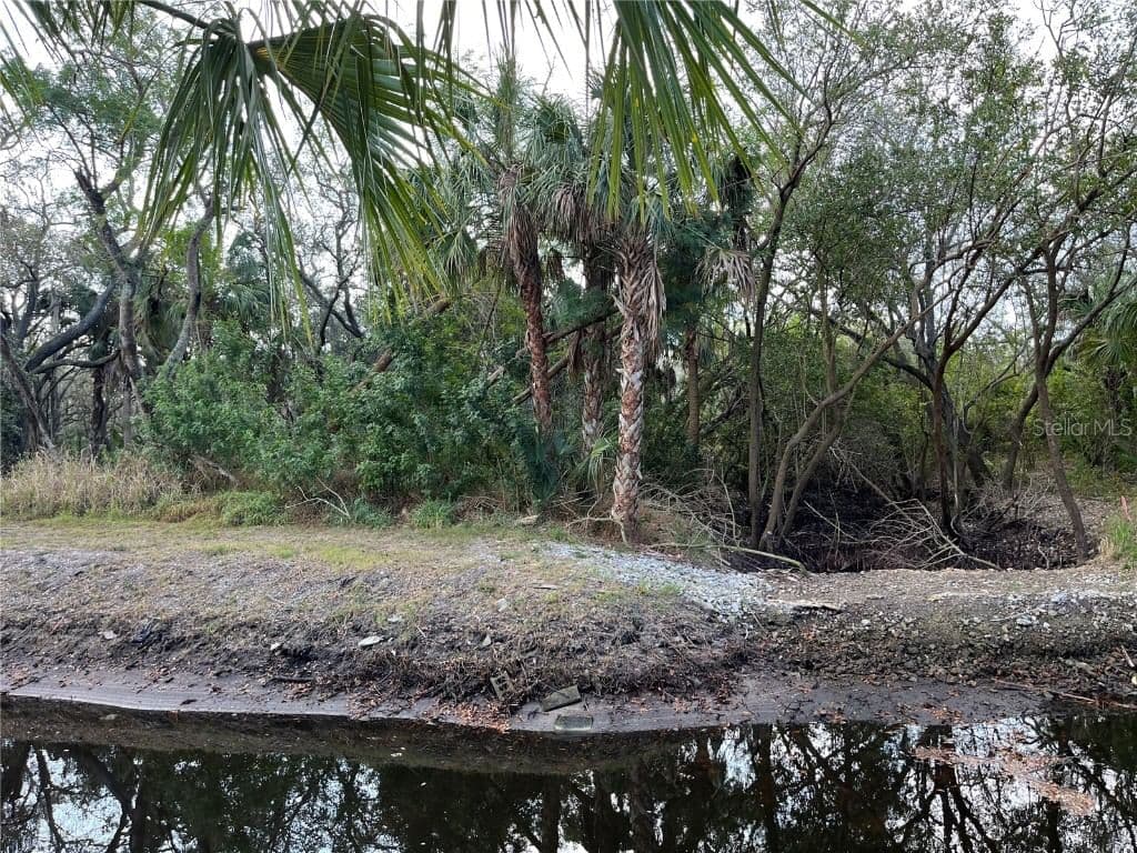Photo 5 of S TARPON