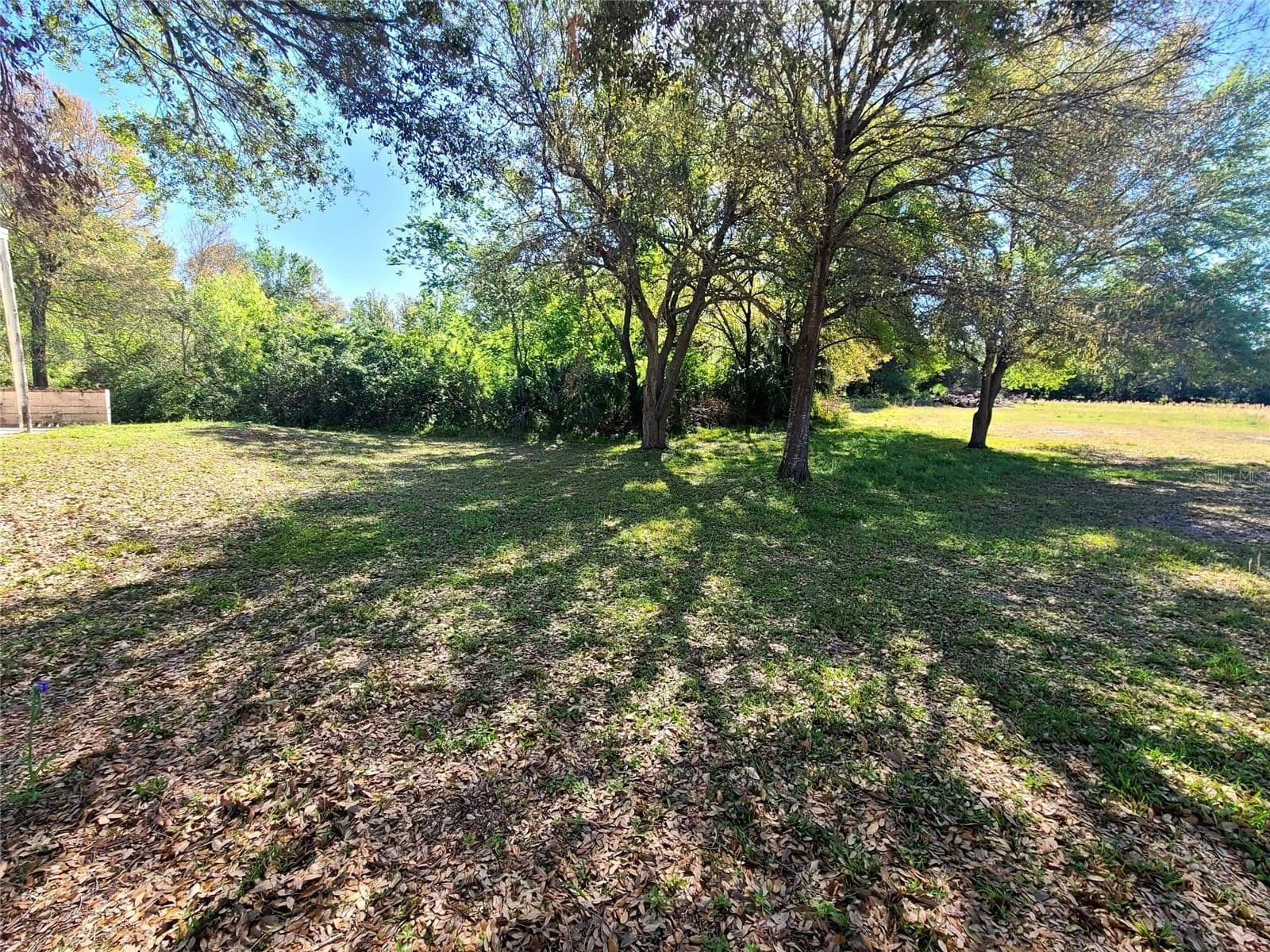 Photo 5 of 3541 BOULEVARD