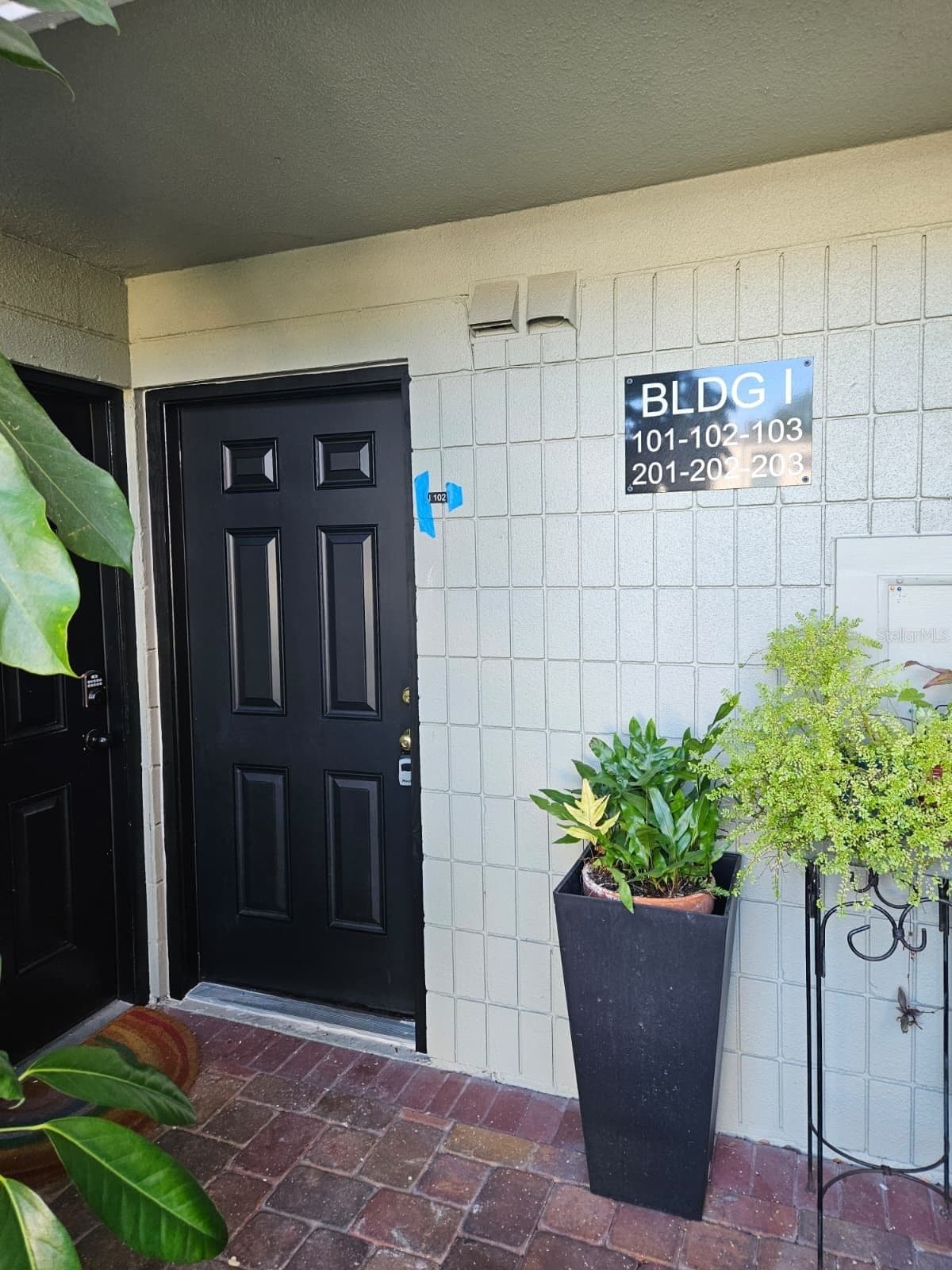 2424 TAMPA BAY