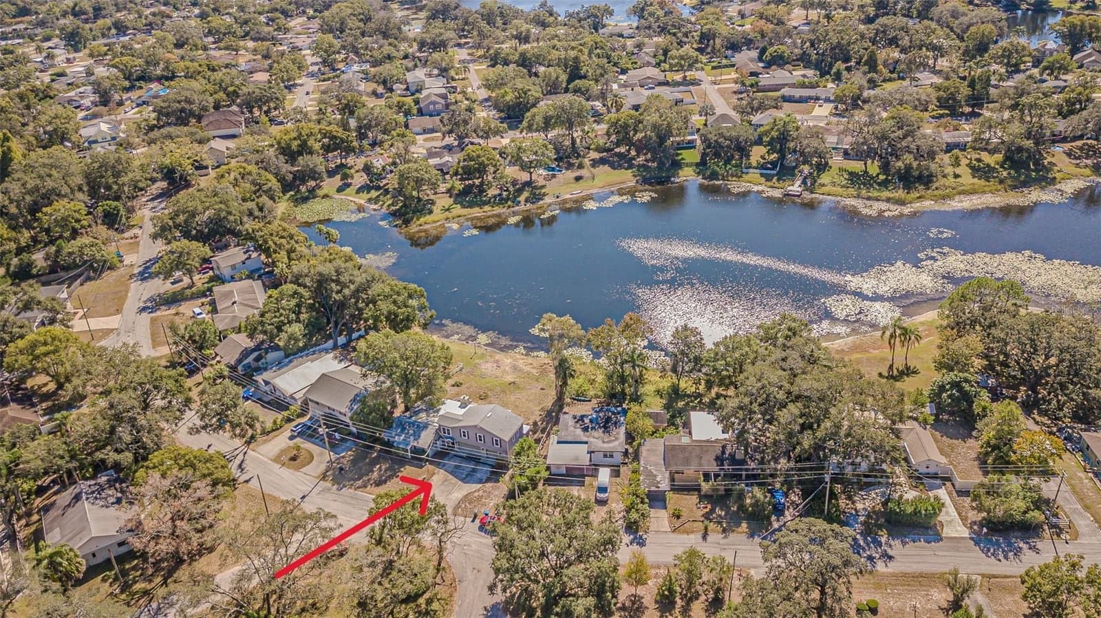12510 FOREST HILLS