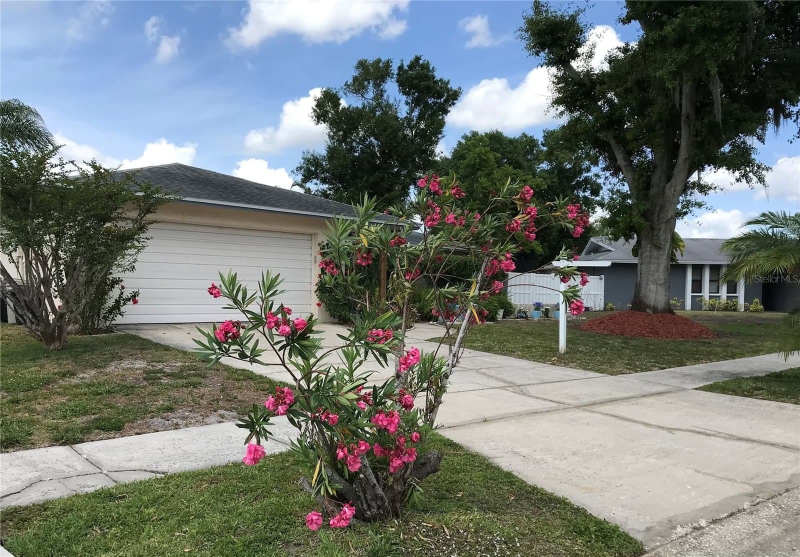 5205 RIPPLE CREEK