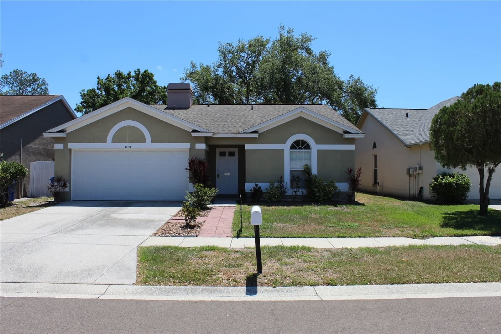11111 BRAMBLEBRUSH