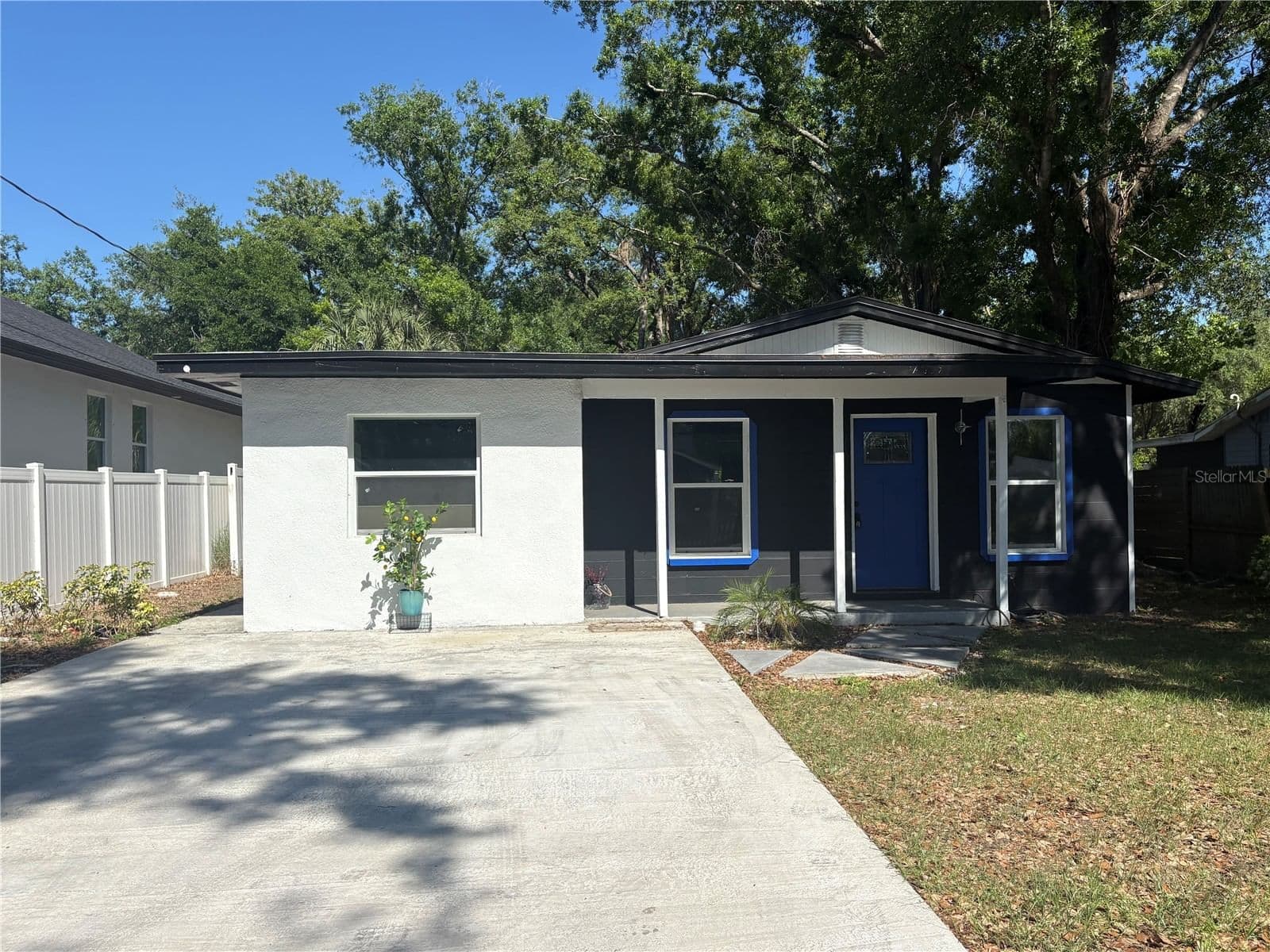 7019 WILLOW