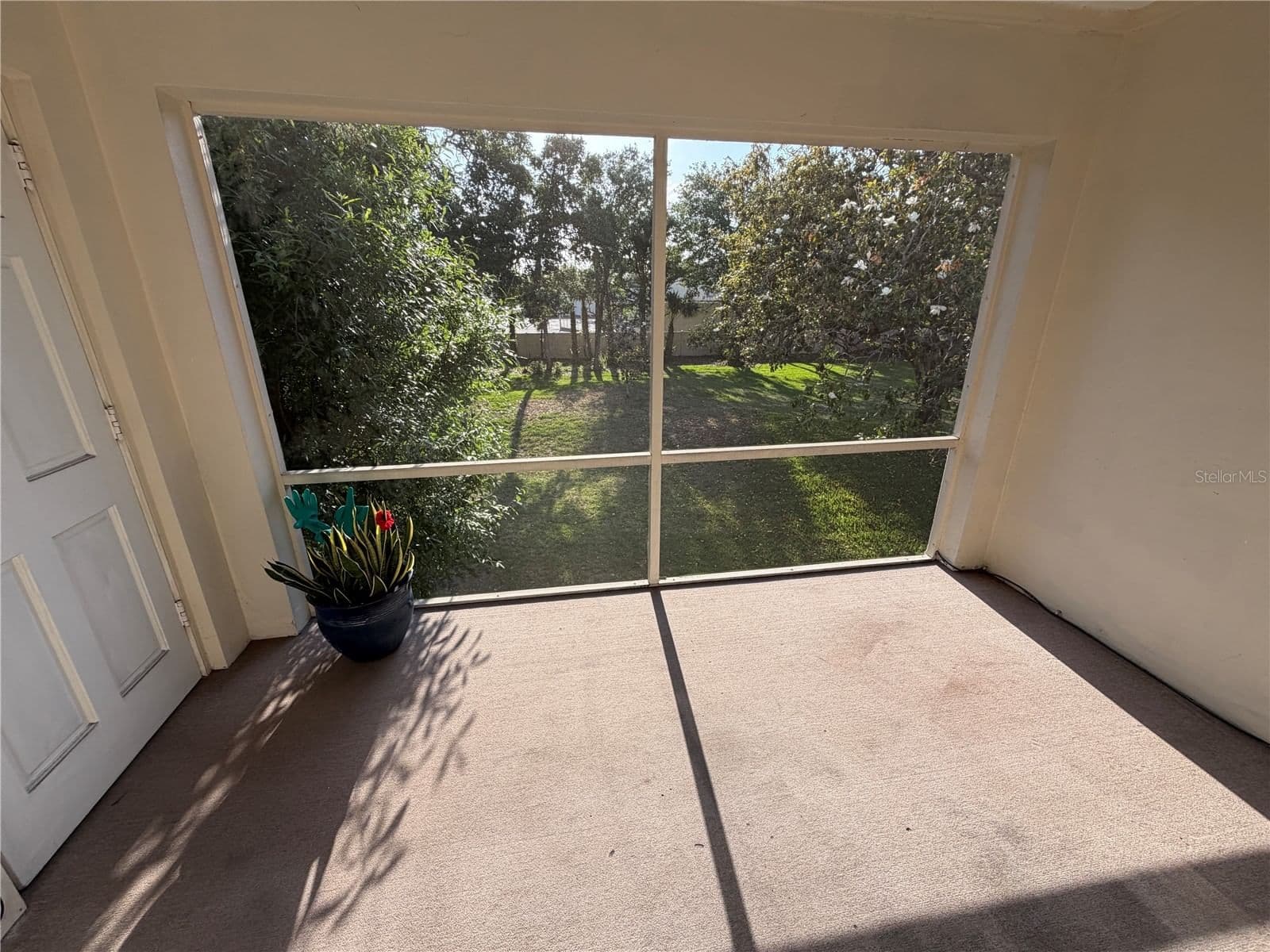 Photo 5 of 10335 CARROLLWOOD