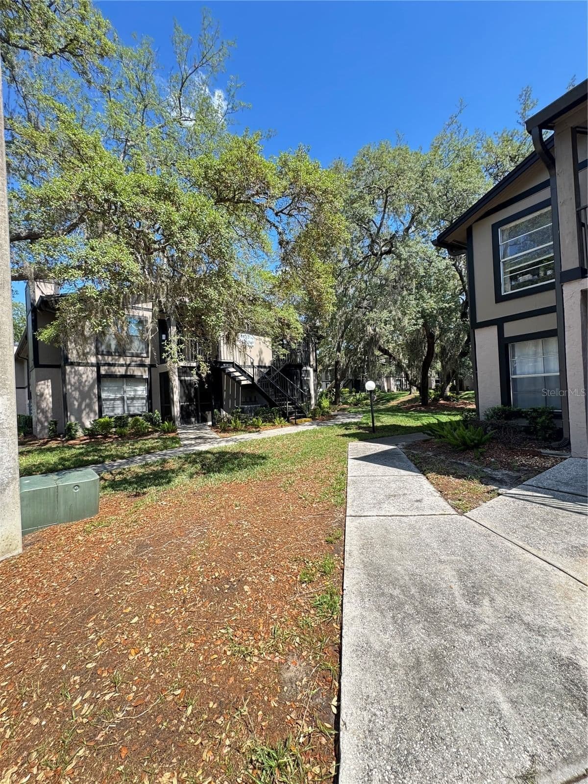 4033 DREAM OAK