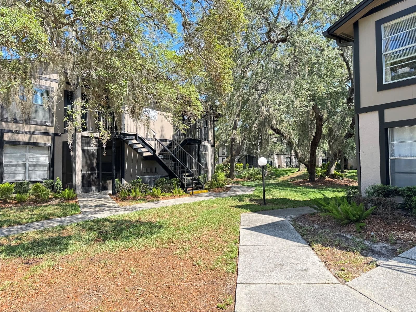 4033 DREAM OAK