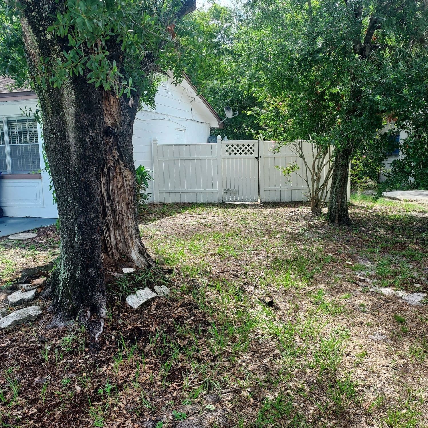 Photo 4 of 4617 SNOOK