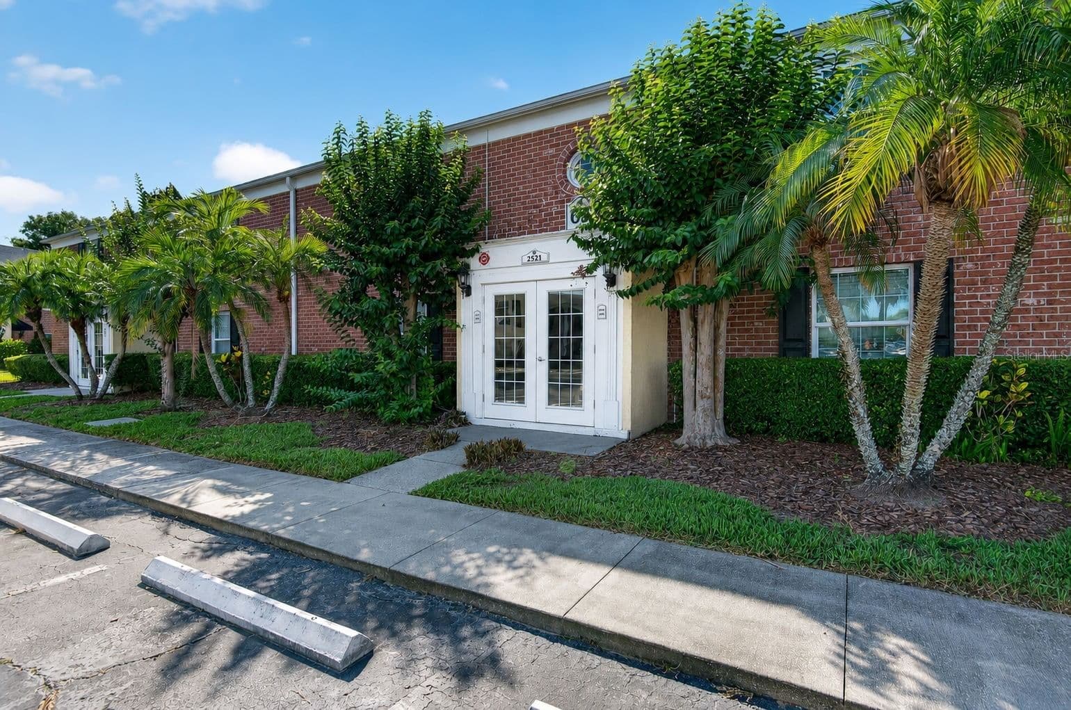 2521 CEDAR CYPRESS