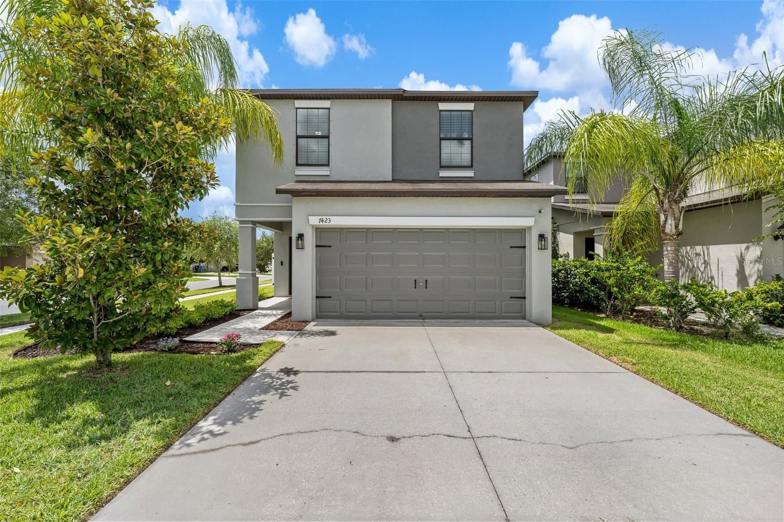 7423 CLARY SAGE