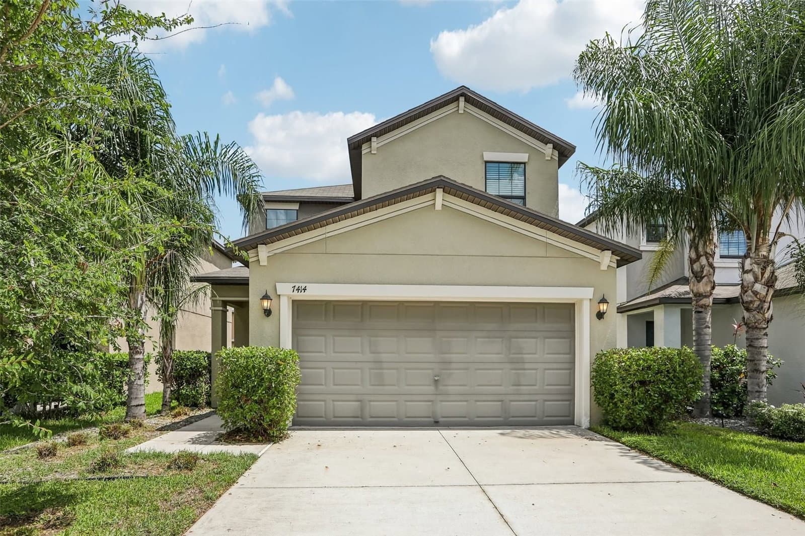 7414 CLARY SAGE