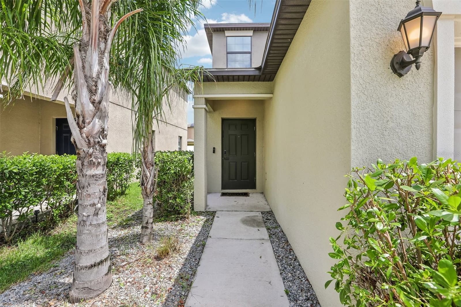 7414 CLARY SAGE