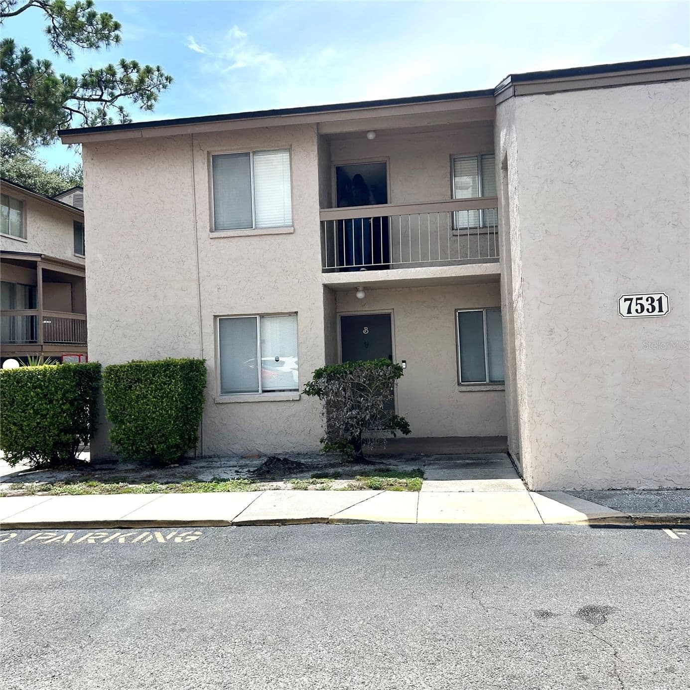 7531 PITCH PINE