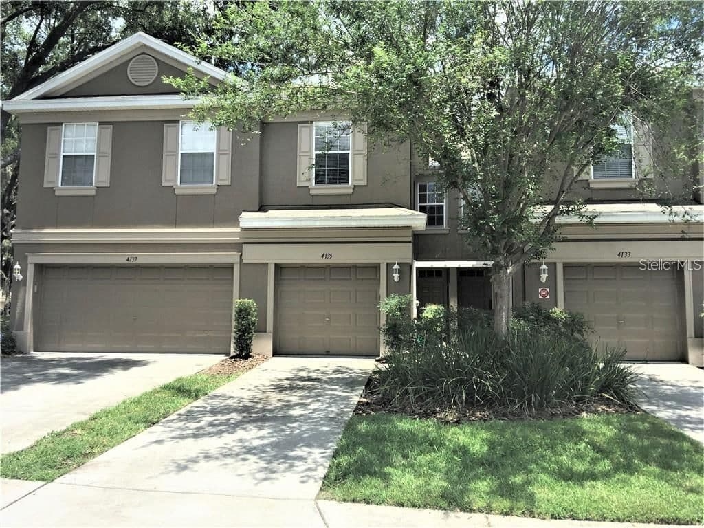 4135 BISMARCK PALM