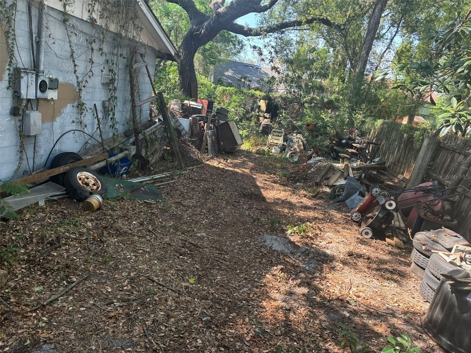 Photo 5 of 1309 RAMBLA