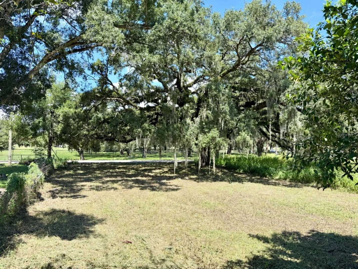 Photo 5 of 4621 LAKE Avenue