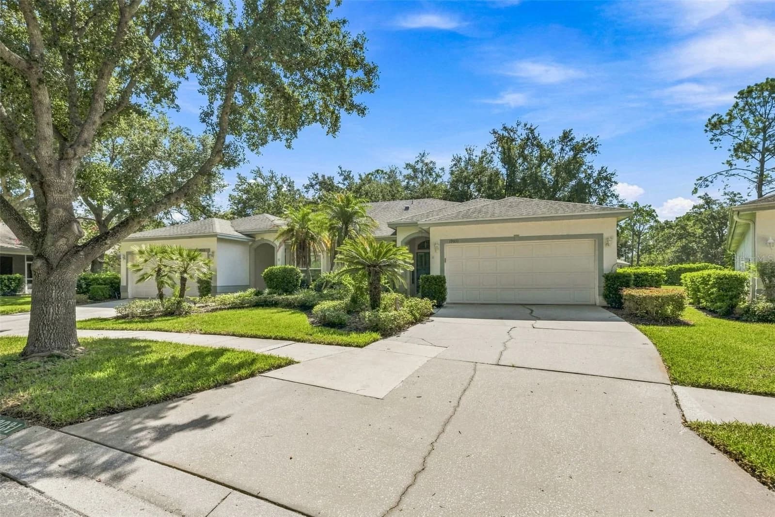 19031 CALLAWAY, Tampa, FL