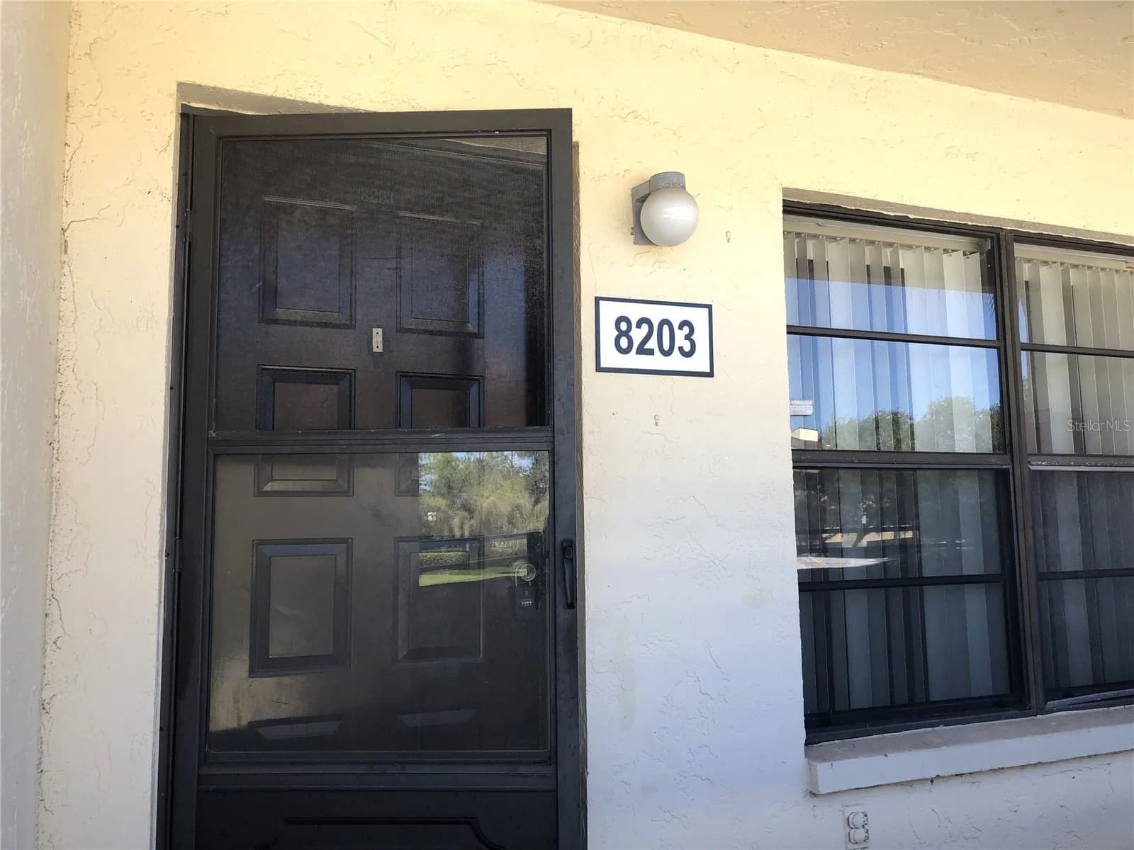 13608 VILLAGE Drive #8203