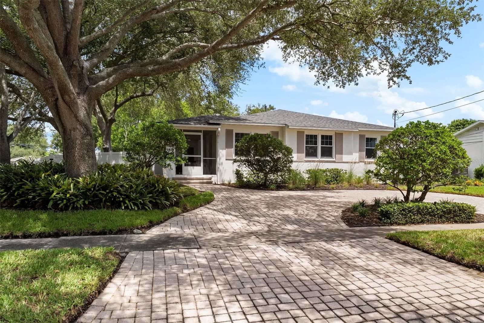3823 TACON, Tampa, FL
