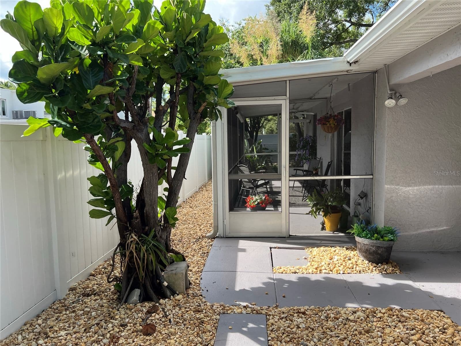 Photo 5 of 3804 EMPEDRADO Street