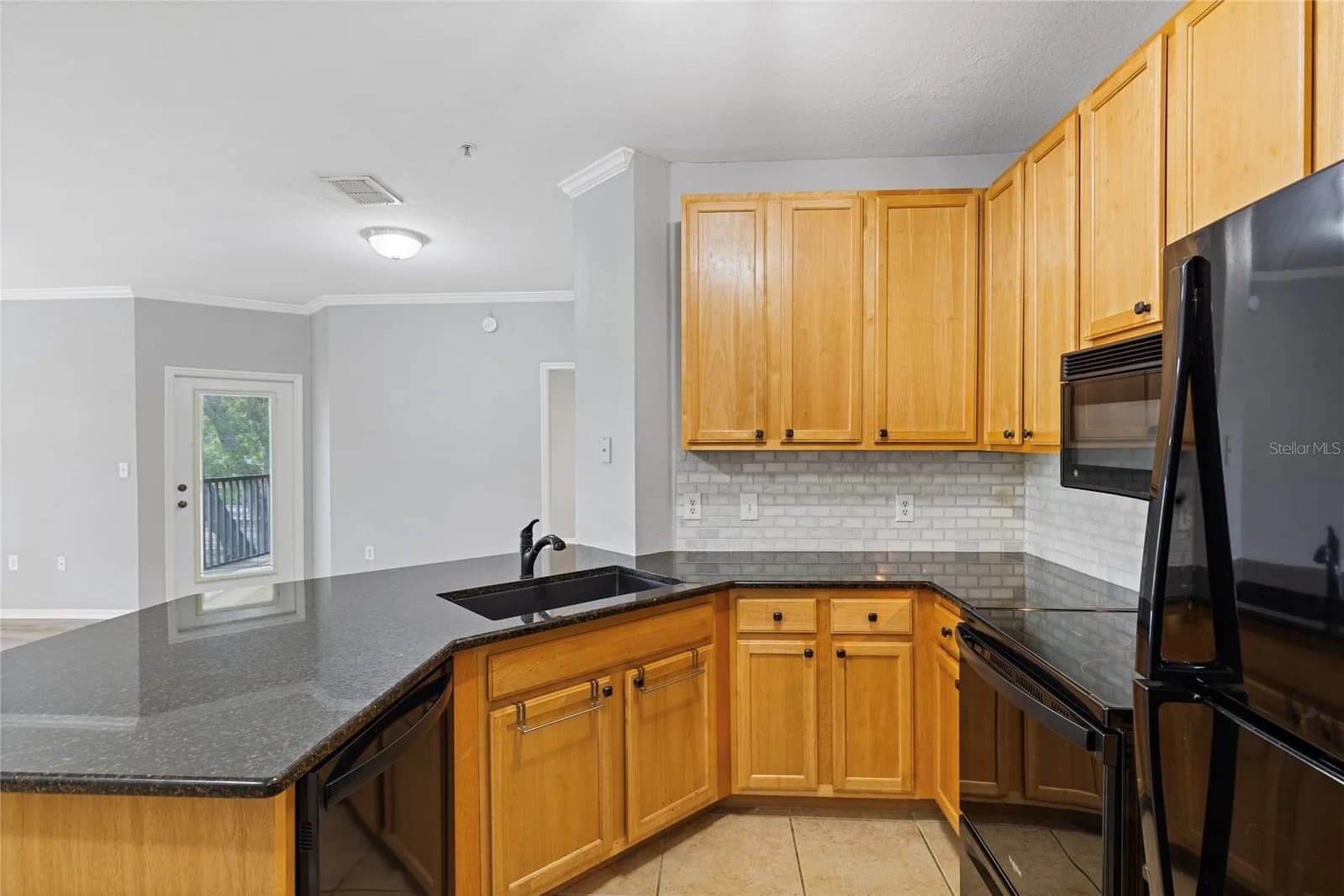 10105 COURTNEY OAKS Circle #203