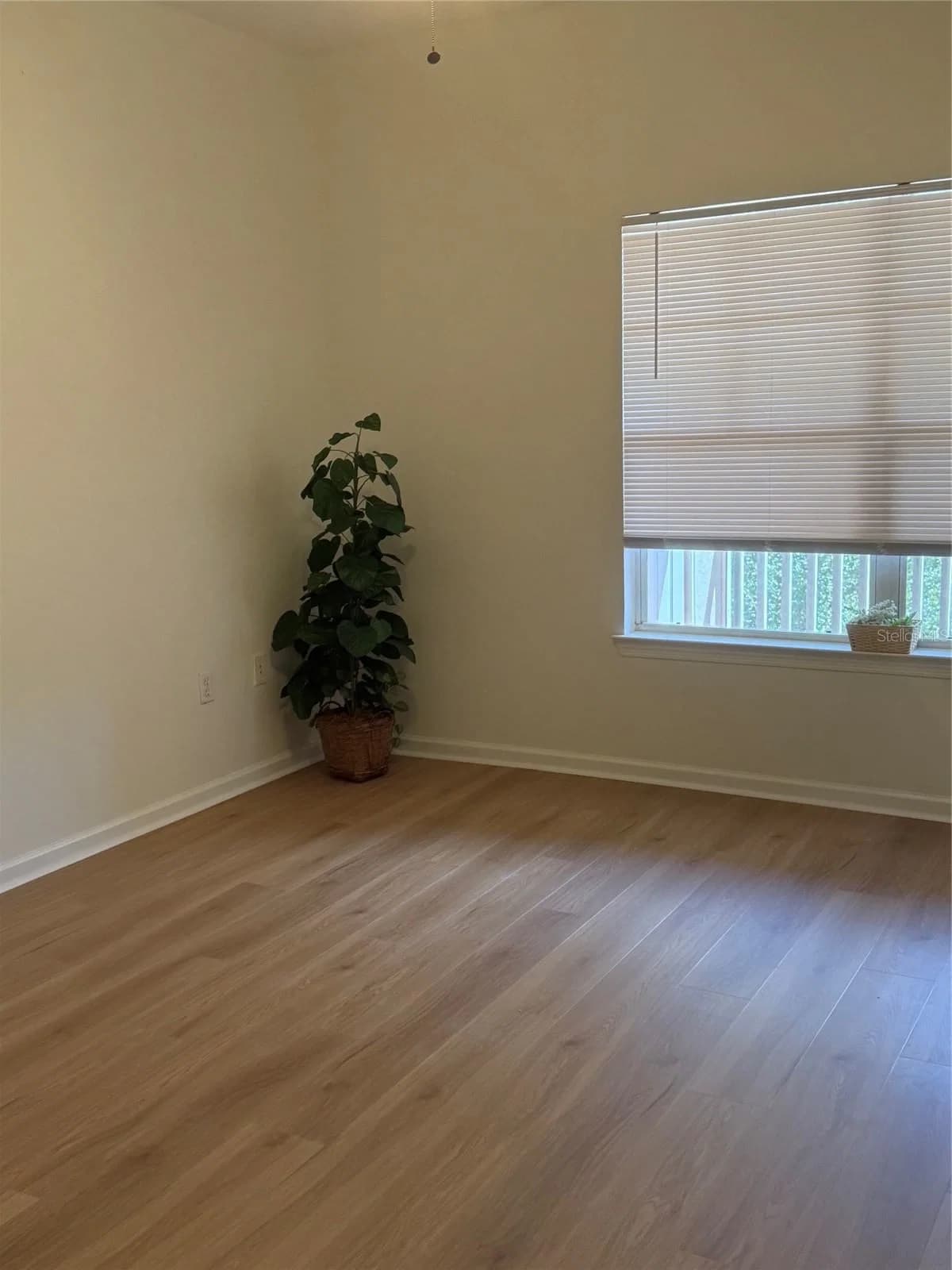 Photo 5 of 4207 DALE MABRY Highway #12308