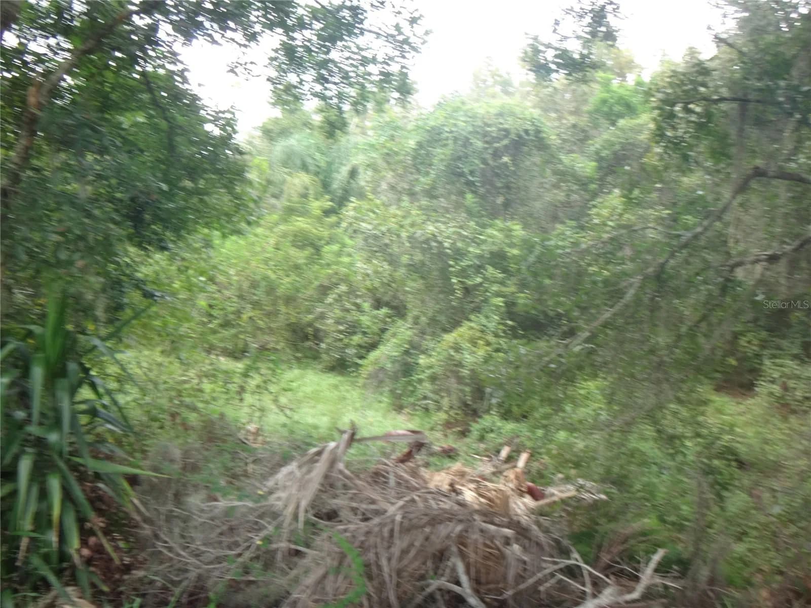 Photo 4 of TAMARIND Drive