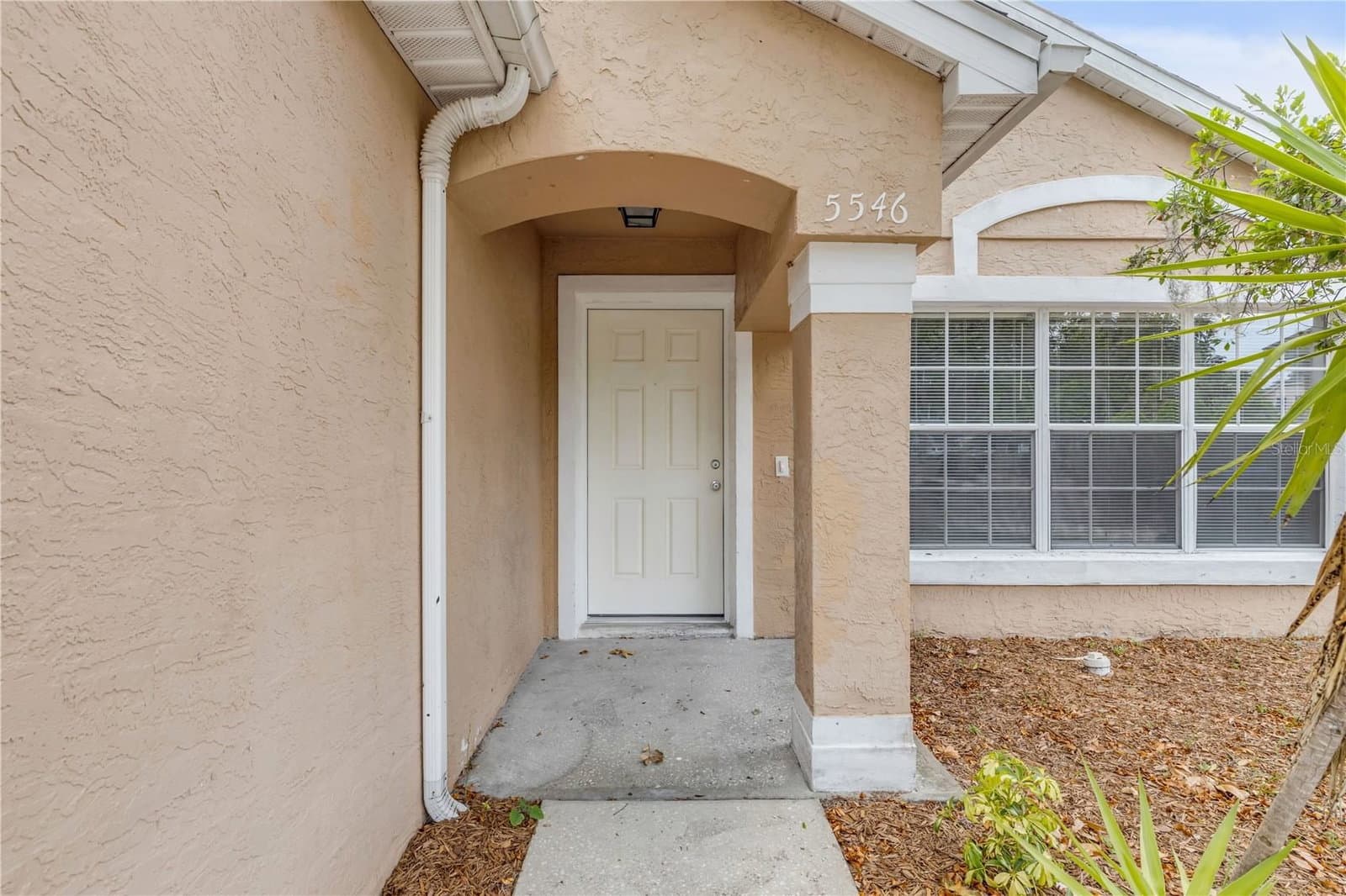 5546 REGAL OAK
