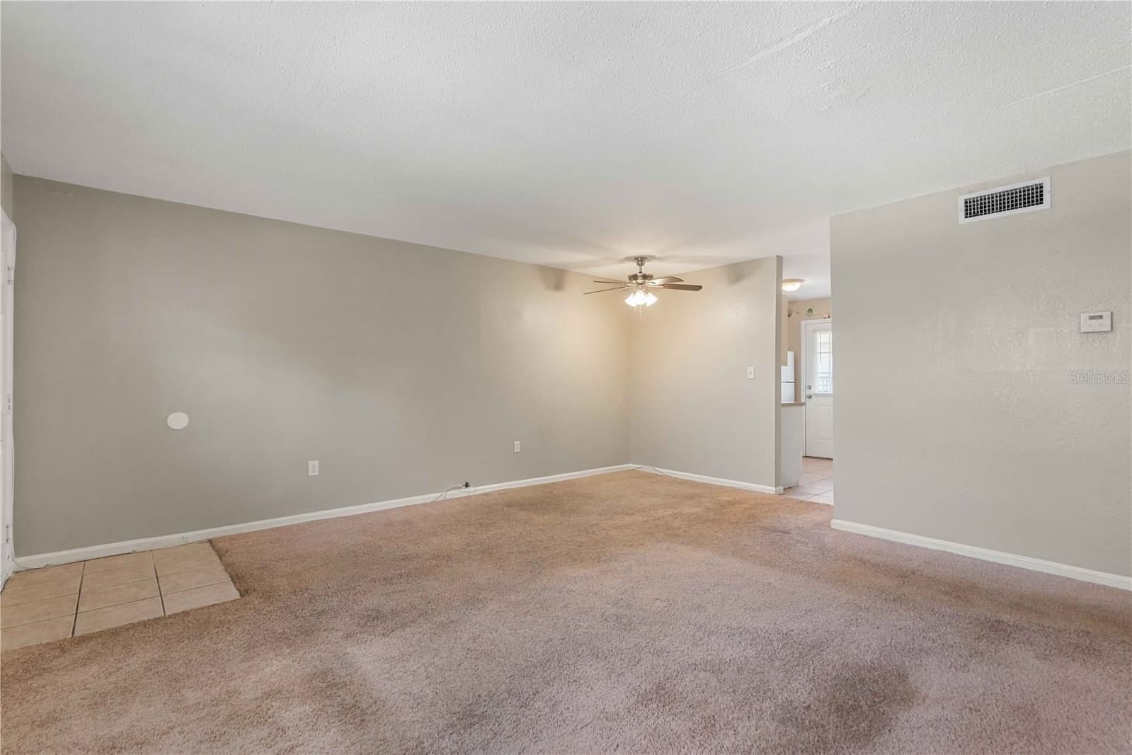 204 PINE TULIP