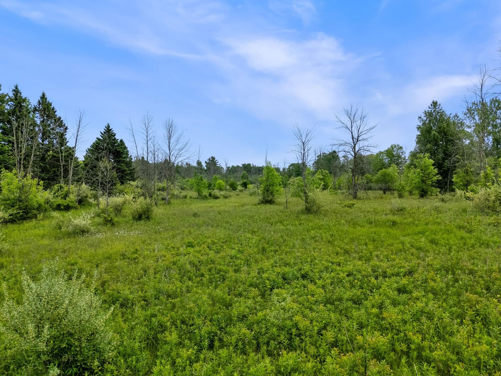 13600 Lake Shore, Mequon, WI
