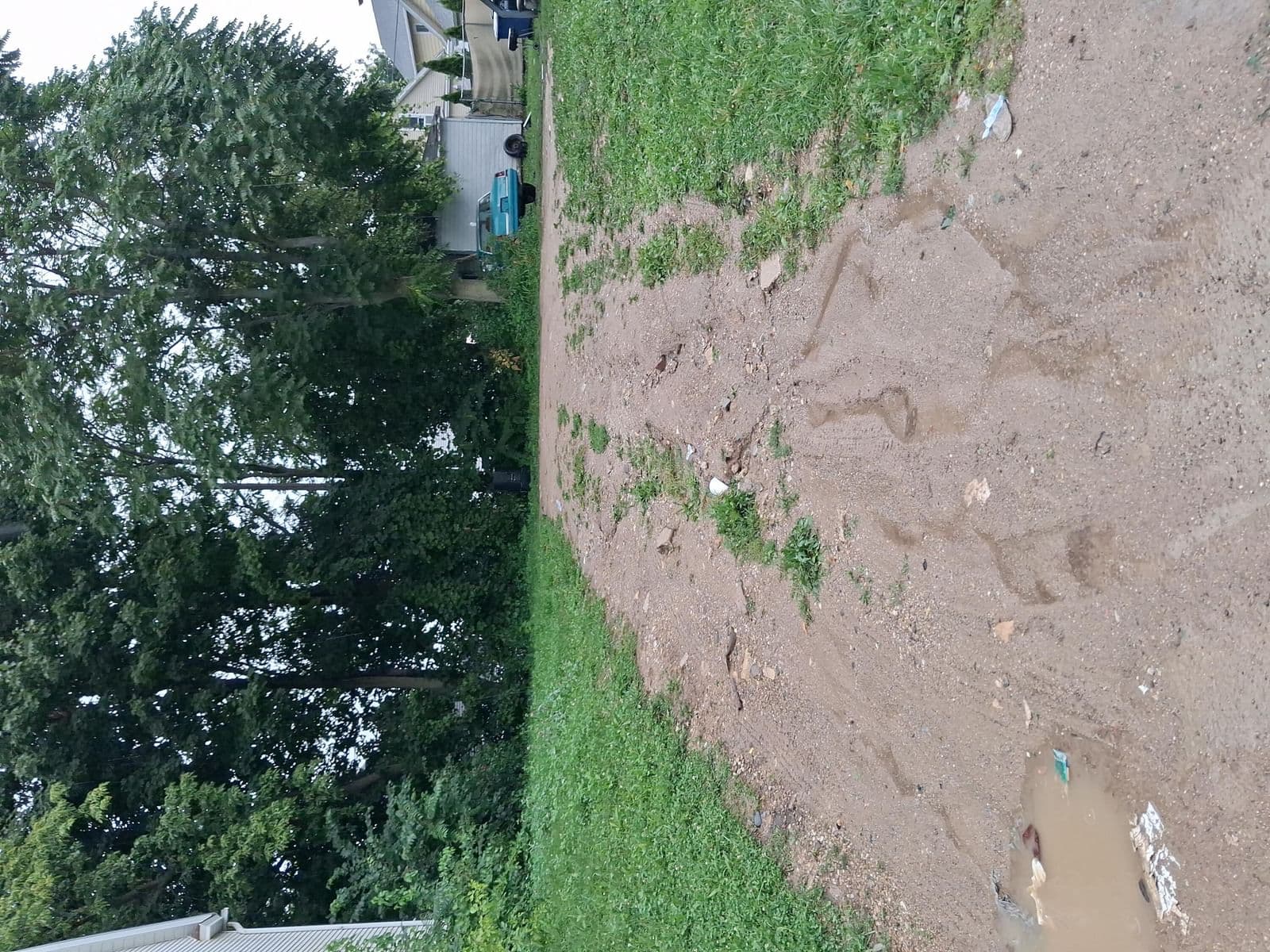 1707 Spring Pl