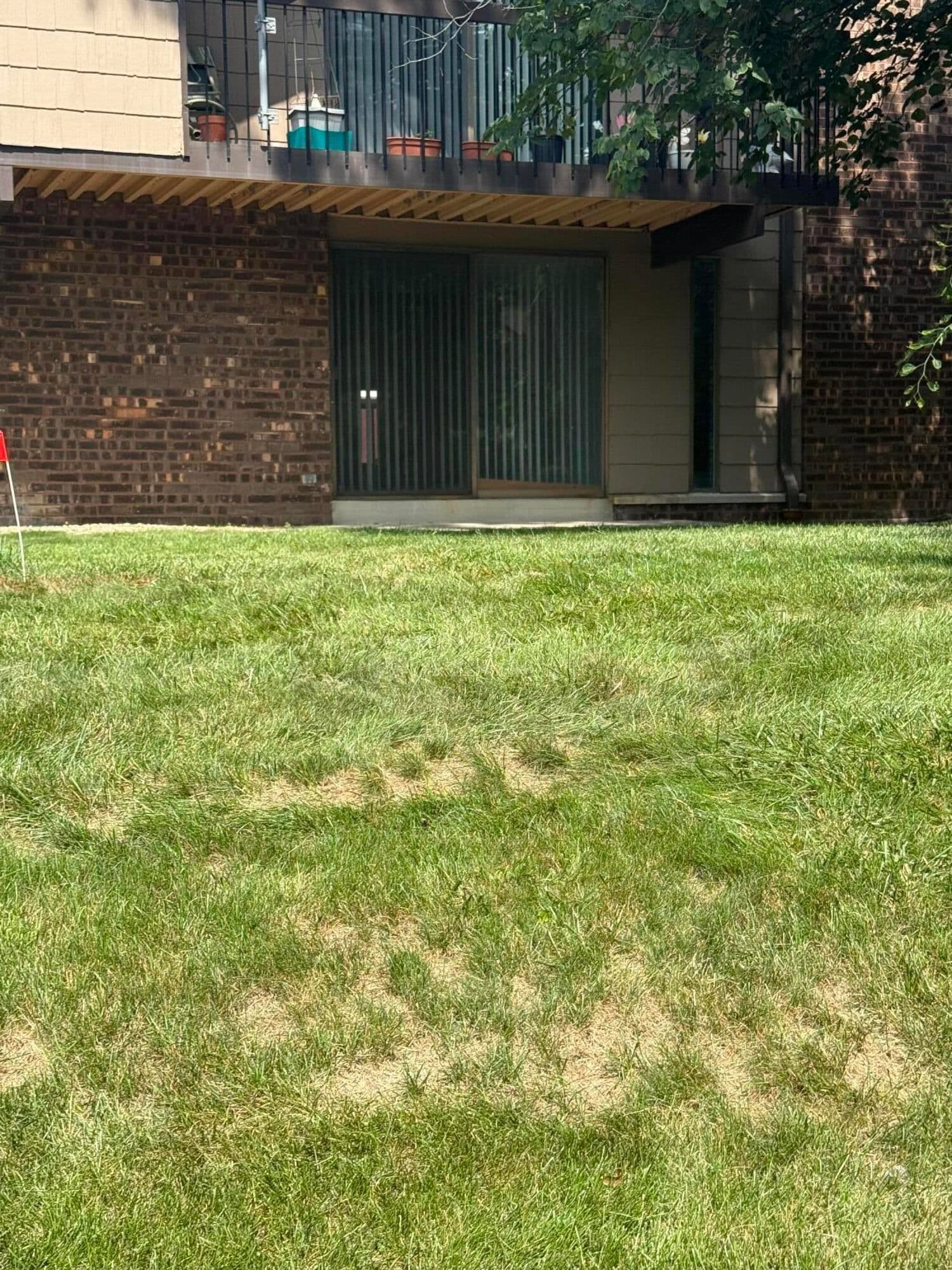 8629 Servite Dr