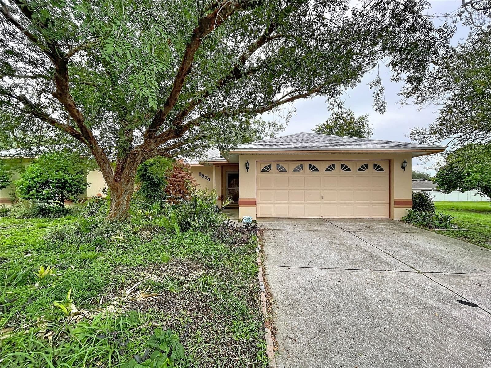 3974 LIME TREE