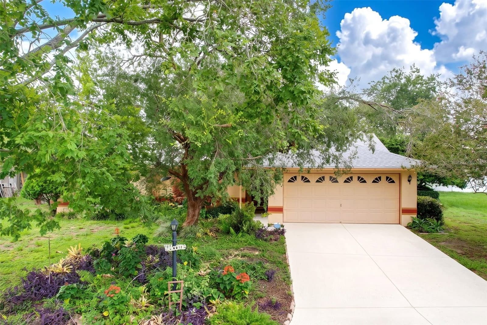 3974 LIME TREE
