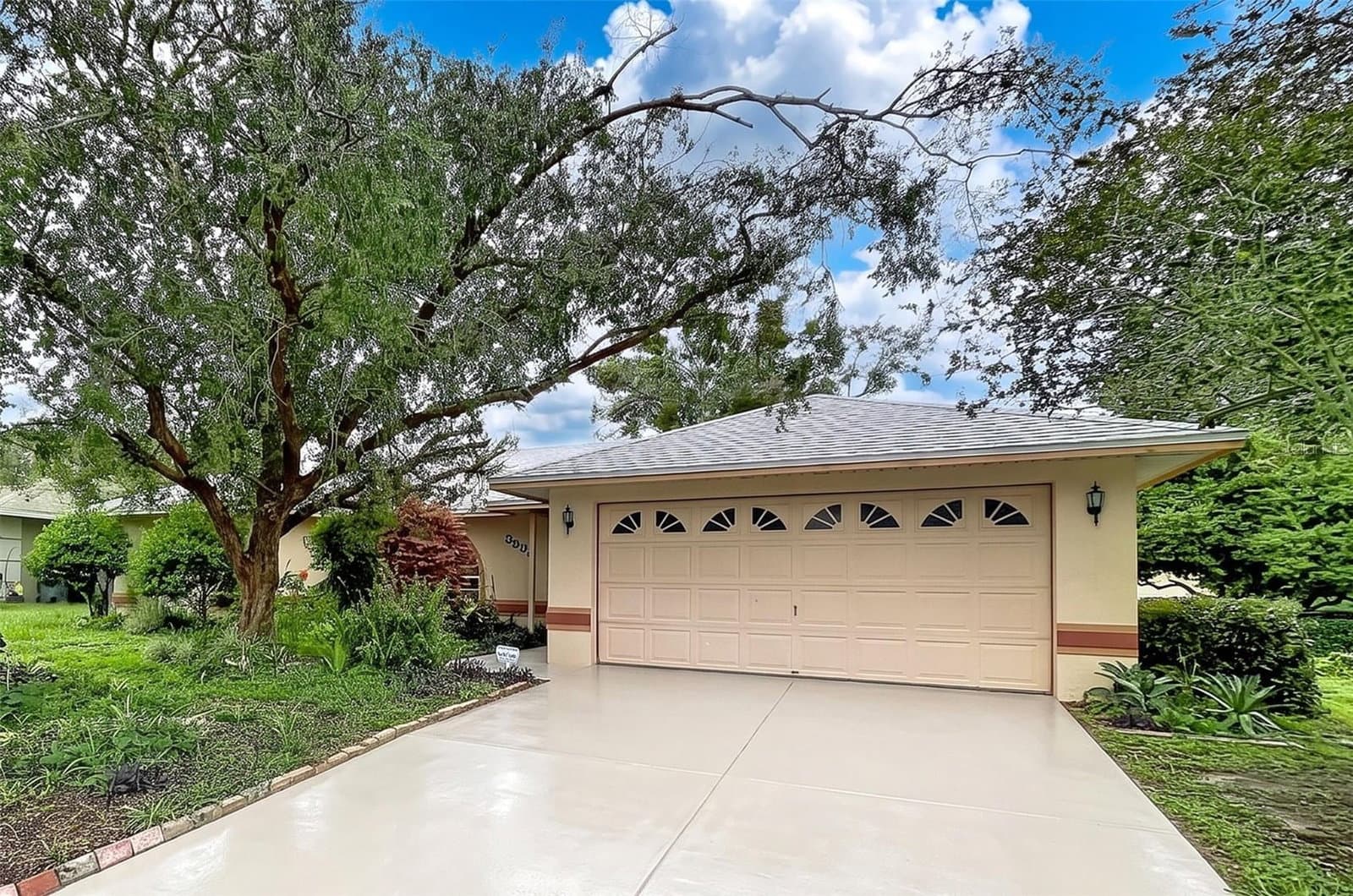 3974 LIME TREE