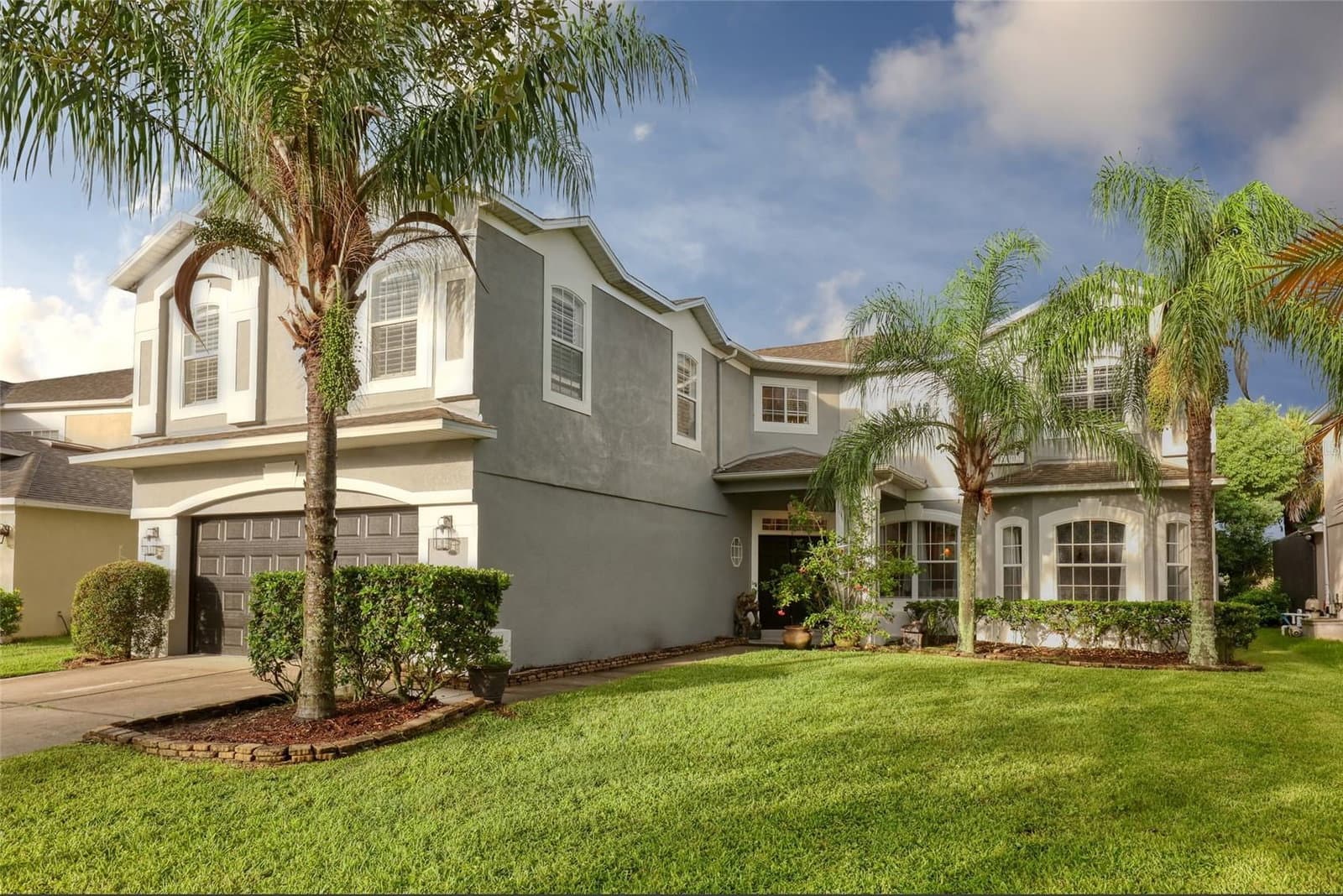 13412 FOX GLOVE