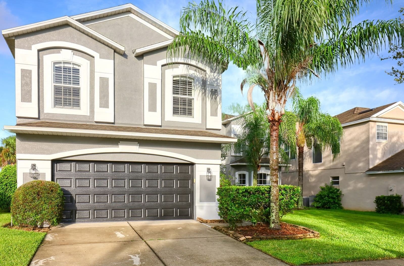 13412 FOX GLOVE