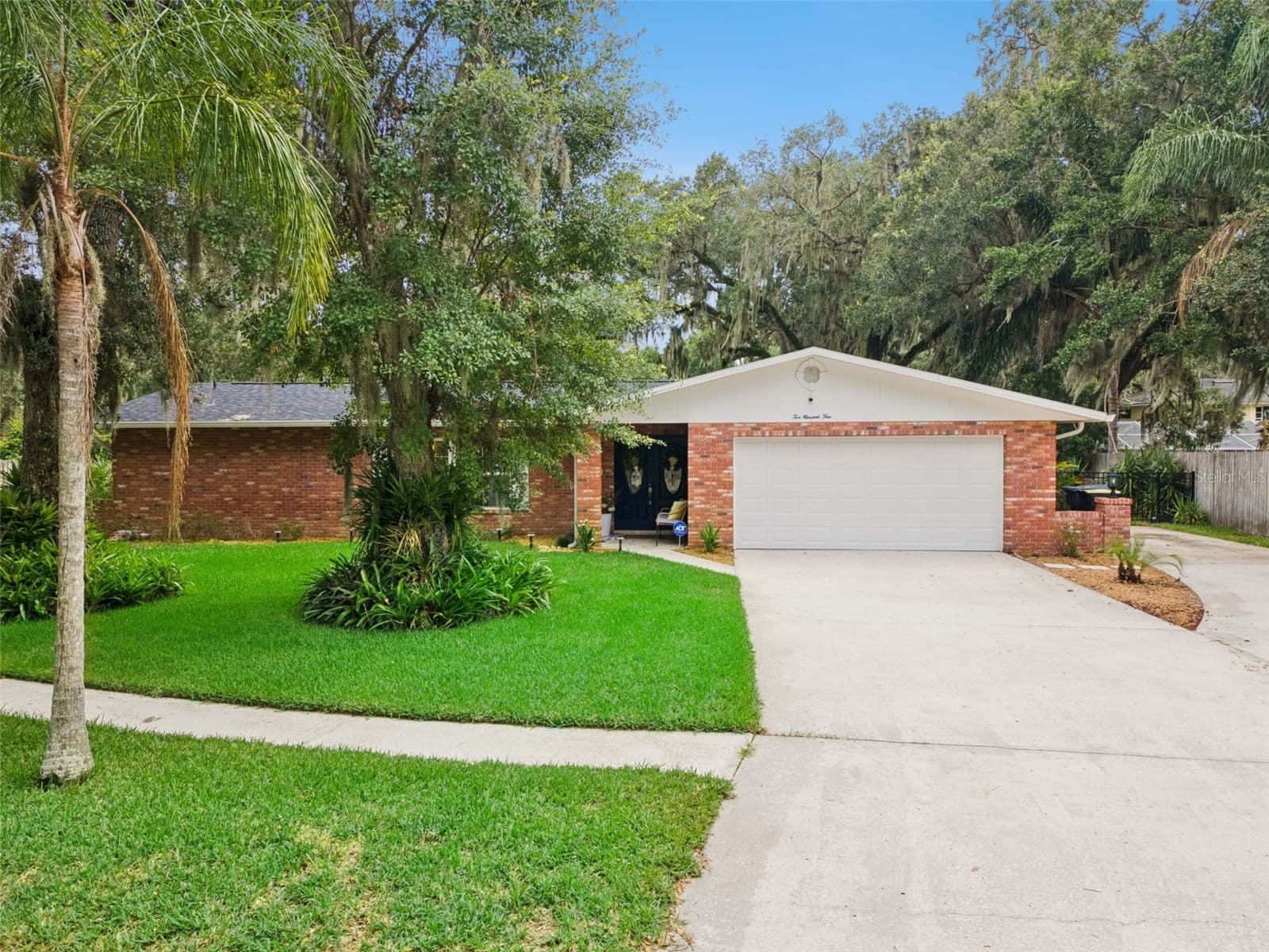 204 BIRCH