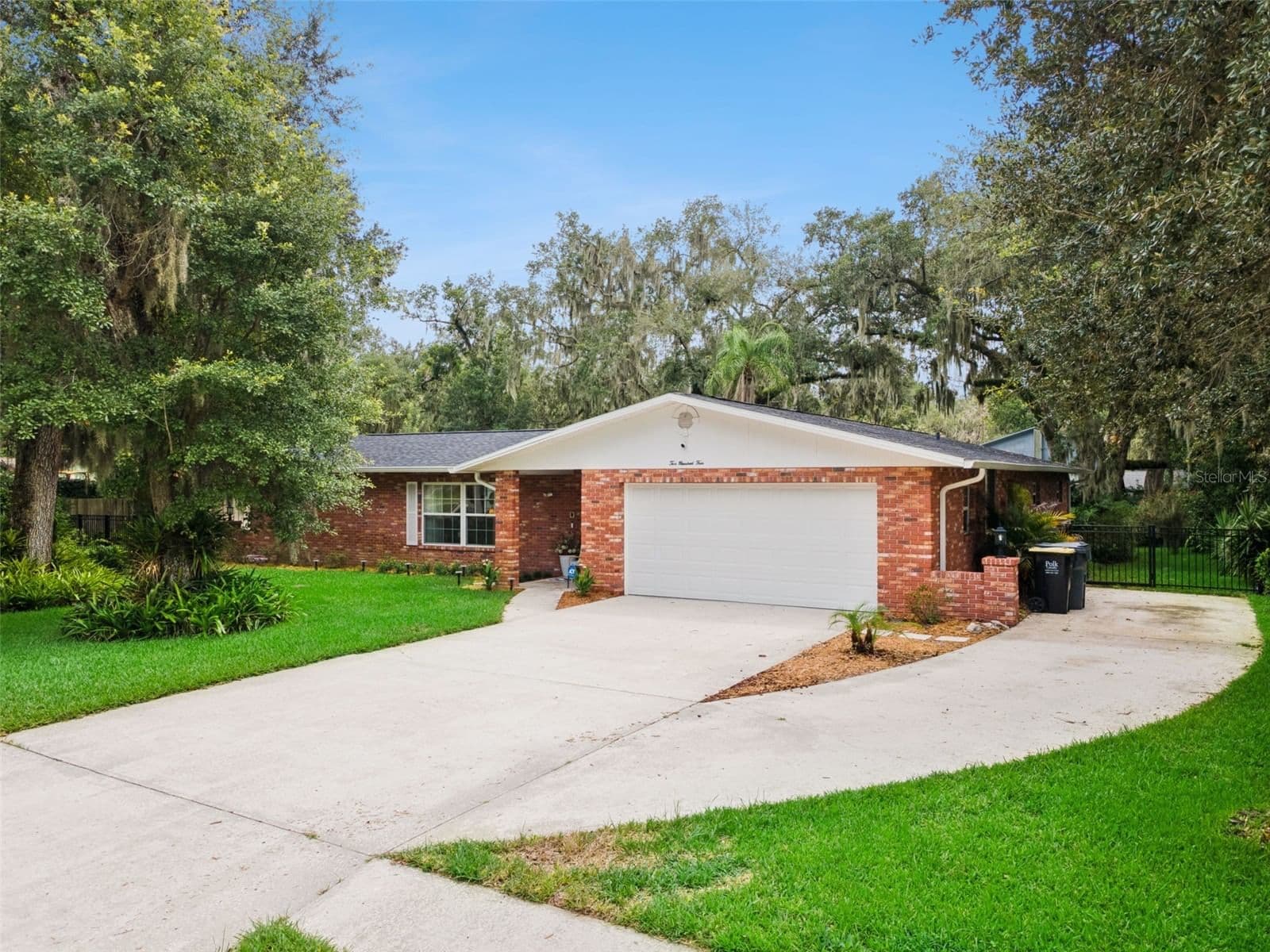 204 BIRCH